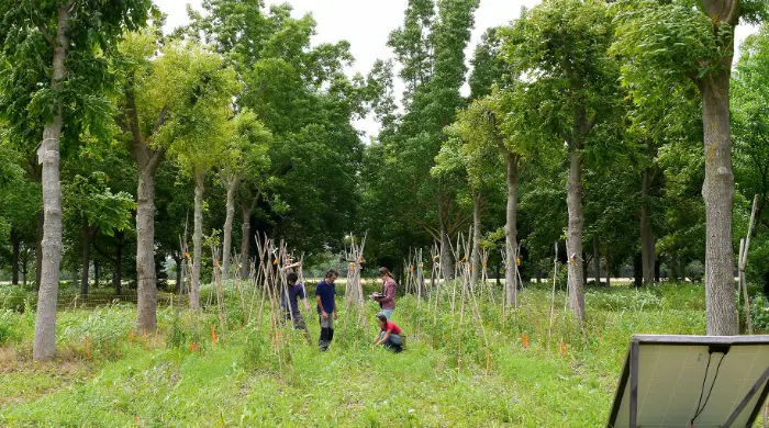 Agroforesterie Vézénobres